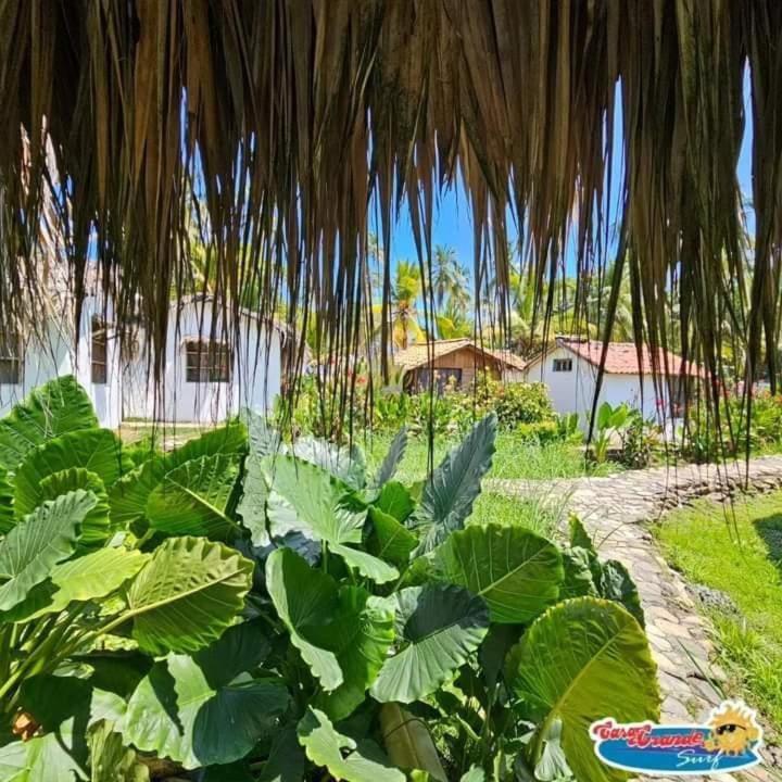 Отель Casa Grande Surf Гуачака Номер фото